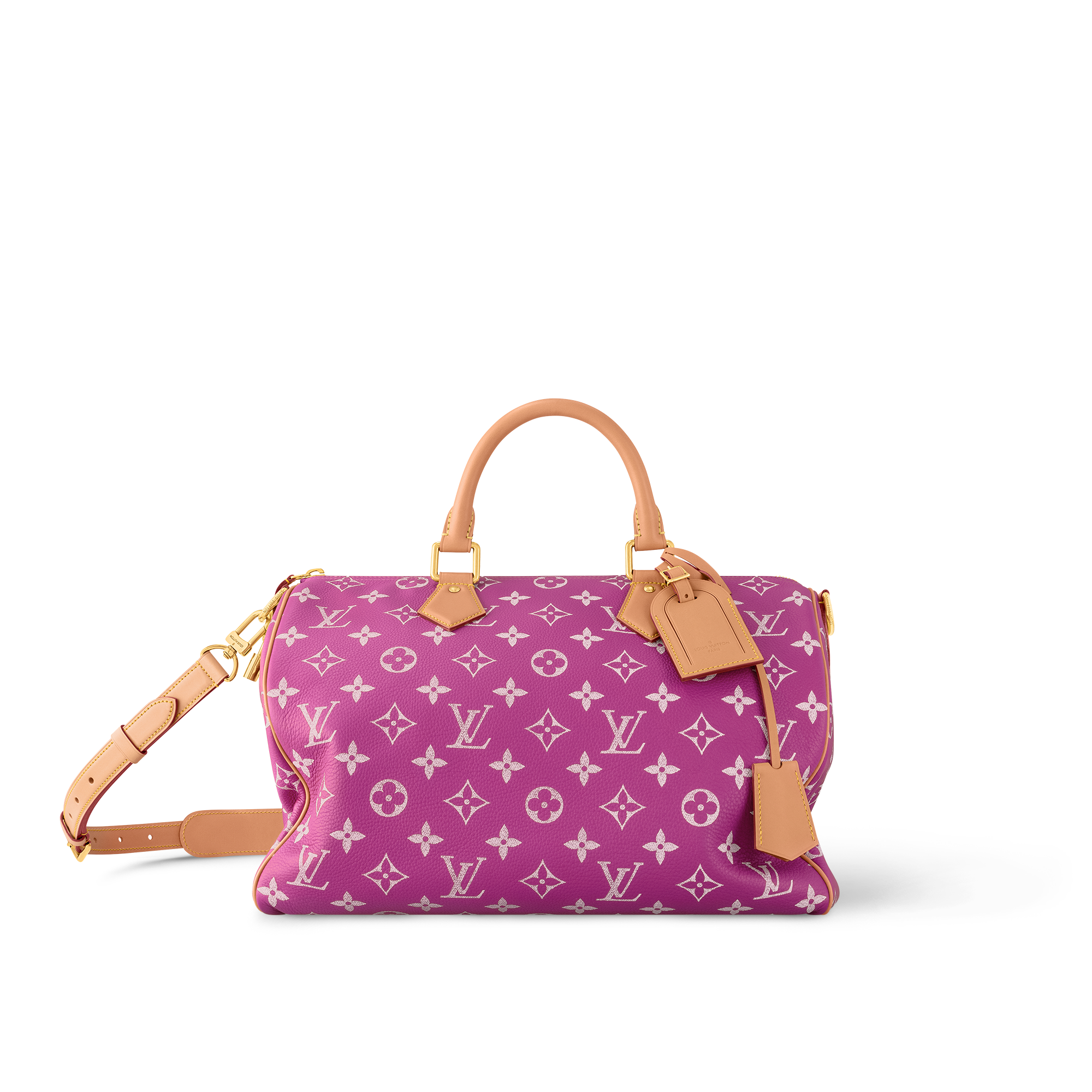 Louis Vuitton Speedy 40 2024 Satchel